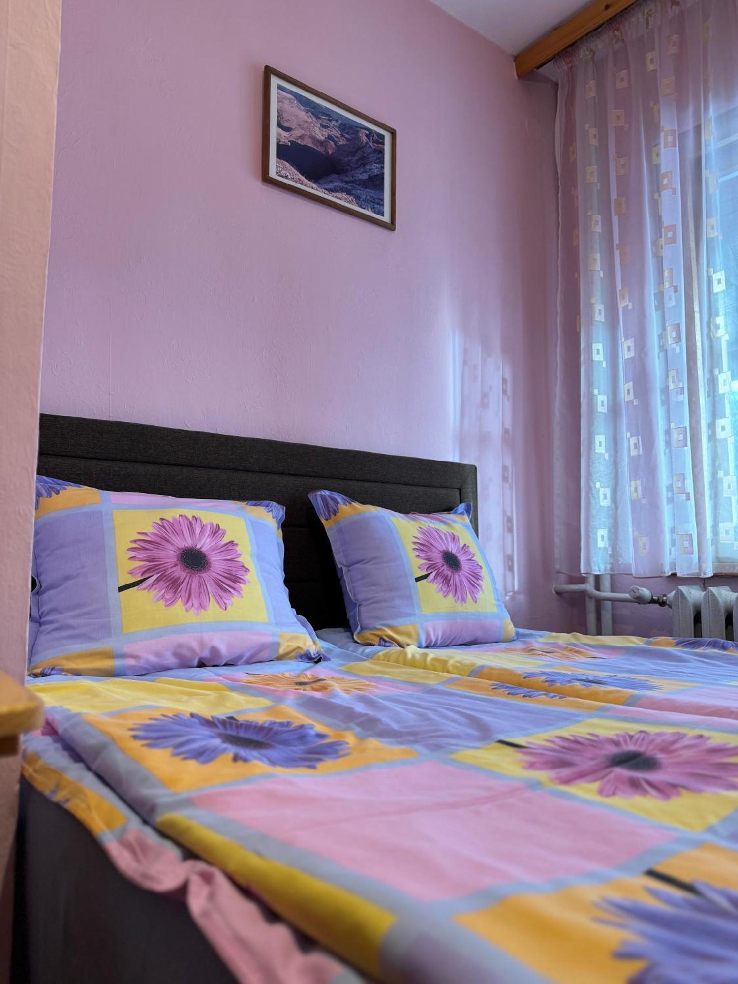 Mama Emiliya Guest House Beli Iskar Dış mekan fotoğraf